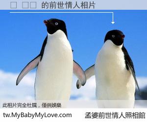 렌 마코 的前世情人