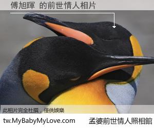 傅旭暉 的前世情人