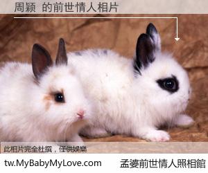 周颖 的前世情人