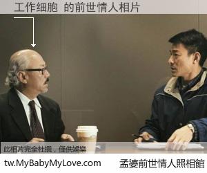 工作细胞 的前世情人