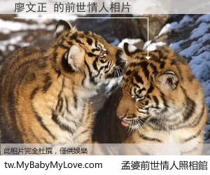 廖文正 的前世情人