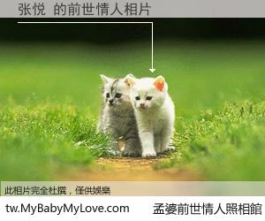 张悦 的前世情人