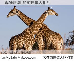 战锤暗潮 的前世情人