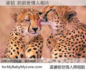 梁钫 的前世情人