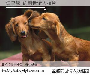 汪聿康 的前世情人