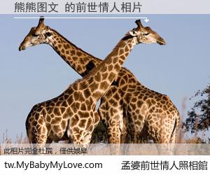 熊熊图文 的前世情人
