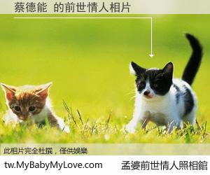 蔡德能 的前世情人