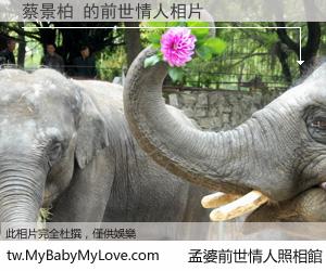蔡景柏 的前世情人