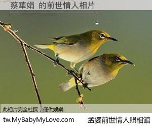 蔡華娟 的前世情人