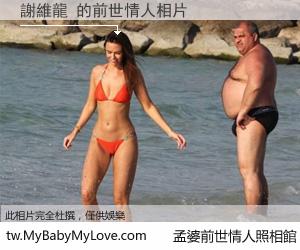 謝維龍 的前世情人