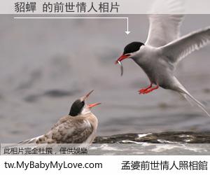貂蟬 的前世情人