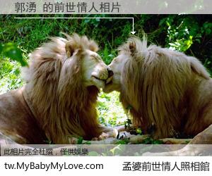 郭湧 的前世情人