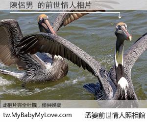 陳侶男 的前世情人
