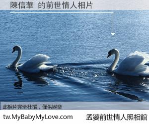 陳信華 的前世情人