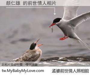 颜仁雄 的前世情人