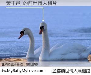 黃丰邑 的前世情人