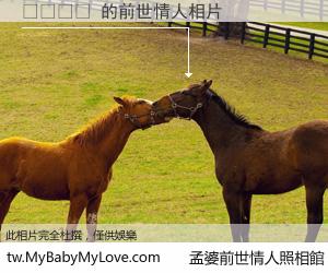 에로실섹 的前世情人