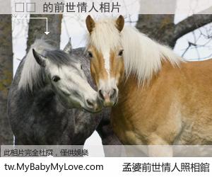 정산 的前世情人