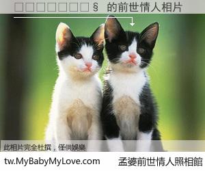 🇬🇧 的前世情人