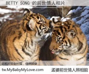BETTY SONG 的前世情人