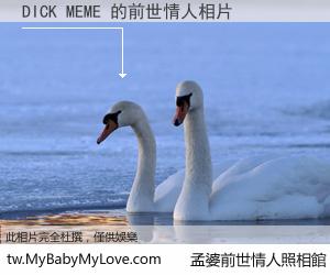 DICK MEME 的前世情人