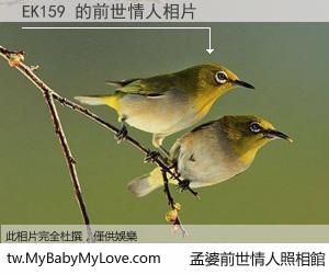 EK159 的前世情人