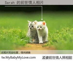 Sarah 的前世情人