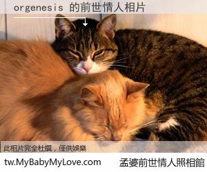 orgenesis 的前世情人