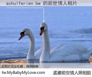 achulferien bw 的前世情人