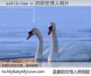 ashibinaa o 的前世情人
