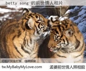 betty song 的前世情人
