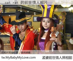cat rat 的前世情人