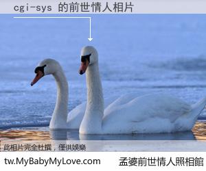 cgi-sys 的前世情人