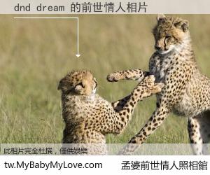 dnd dream 的前世情人