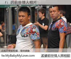 fi 的前世情人