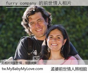 furry company 的前世情人