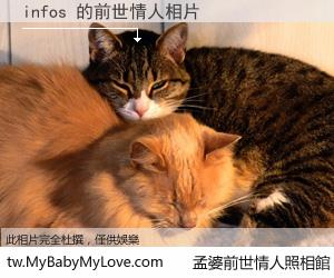 infos 的前世情人