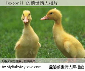 lexopril 的前世情人