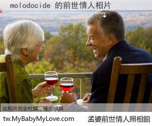 molodocide 的前世情人