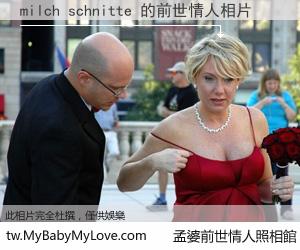 milch schnitte 的前世情人