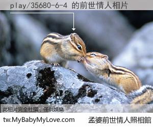 play/35680-6-4 的前世情人