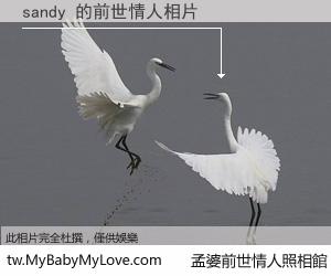 sandy 的前世情人