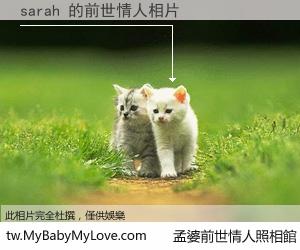 sarah 的前世情人