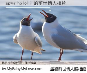 spwn hololi 的前世情人