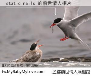 static nails 的前世情人