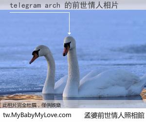 telegram arch 的前世情人