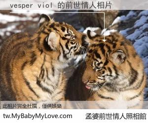 vesper viol 的前世情人