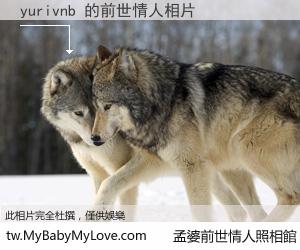 yurivnb 的前世情人
