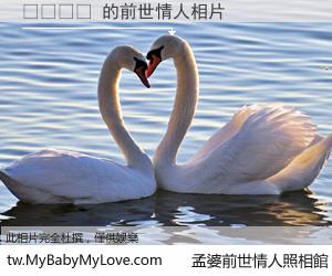 타과협의 的前世情人