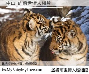 中山 的前世情人